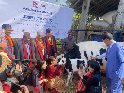 दूध उत्पादनमार्फत किसानको जीवनस्तर उकास्ने ‘मिल्की वे’ परियोजना   